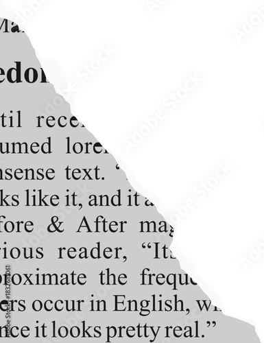 Torn Newspaper Vector