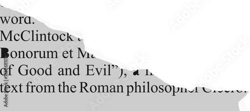 Torn Newspaper Vector