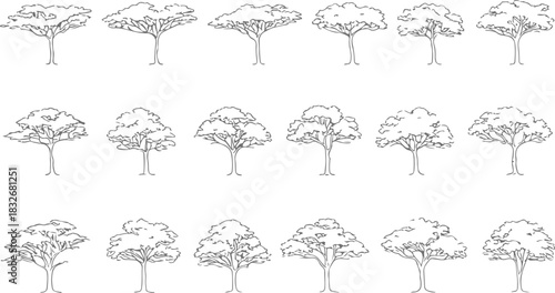 Minimal CAD Tree Line Drawing Set – Tropical Architecture Landscape Outline Vector Collection