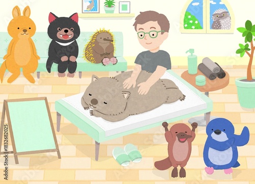 男性セラピストからマッサージを受けるウォンバットと、動物たち（タスマニアデビル、ハリモグラ、ワラビー、カモノハシ、リトルペンギン）