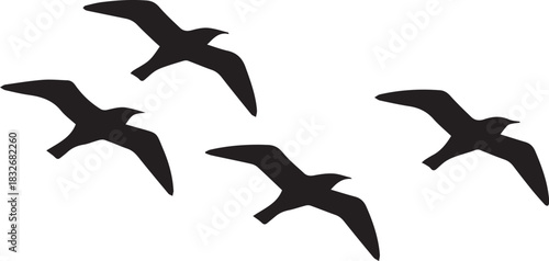 bird flying silhouette vector set four birds formation