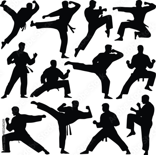 karate vector silhouettes twelve action pose icons for design