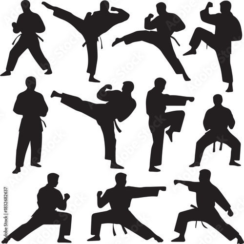 karate silhouette set of twelve martial arts pose vectors