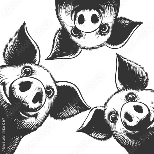 playful pigs peeking down with big eyes and snouts in a circular arrangement sketch engraving generative ai vector illustration. Scratch board imitation. Black and white image.