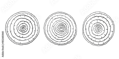 Onion slice, onion rings monochrome botanical fragrant vegetable drawing illustration. Isolated. Graphic hand drawn ink black and white vector. Good for cooking, medicinal, menu, garden, package