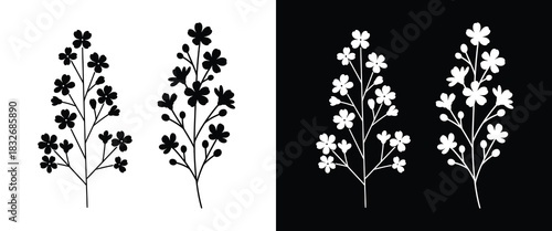 Elegant floral silhouette illustrations on black and white backgrounds