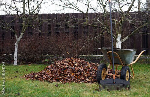 fallen autumn leaves with a rake in the garden of a country house.