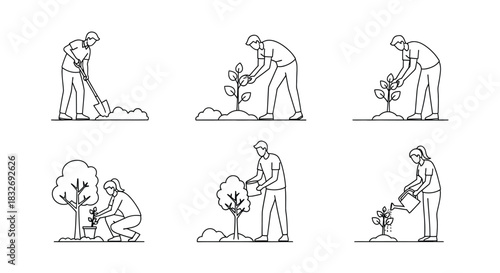 A series of illustrations depicting the stages of planting and nurturing a tree