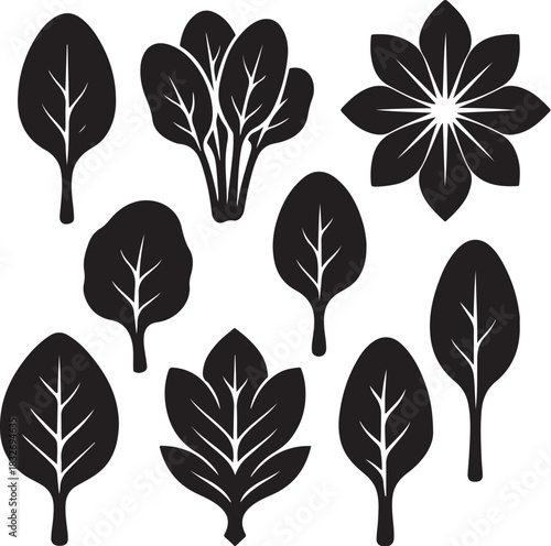 Spinach Silhouette Icon Set.eps