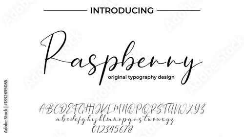 Raspberry - Elegant Script Font for Smooth Handwritten Design and Creative Typography