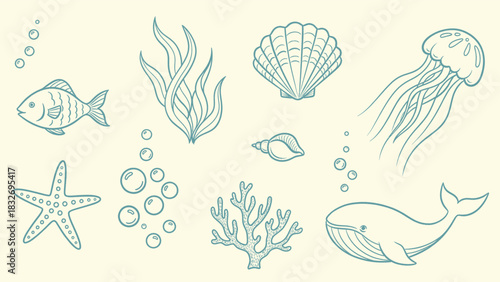 Set of hand drawn ocean life elements including fish, whale, jellyfish, starfish, shell, coral, and seaweed in sketch style