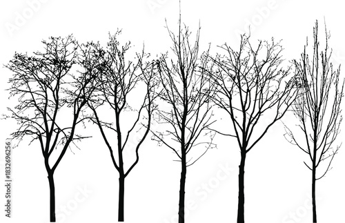 Black silhouette of bare trees on a white background