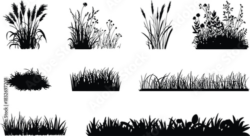 Black silhouette grass and plant elements on white background
