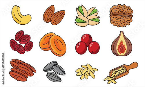 Nut Assortment Illustration Healthy Snack Variety