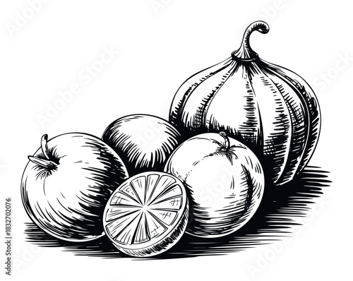 Vintage black and white sketch of assorted fruits including oranges and a pumpkin, perfect for harvest themes and healthy eating promotions.