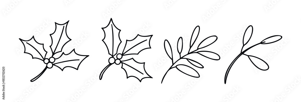 Fototapeta premium Decorative hand drawn outline holly leaves with berries and simple branch sprigs for festive holiday embellishment and seasonal greeting projects