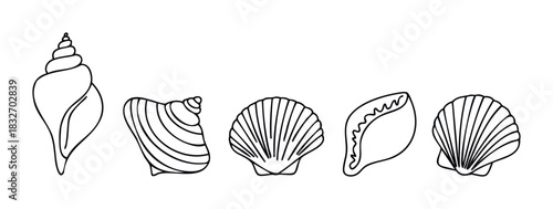 Collection of simple handdrawn seashell outlines representing marine life and coastal themes for various creative projects and decorative applications.