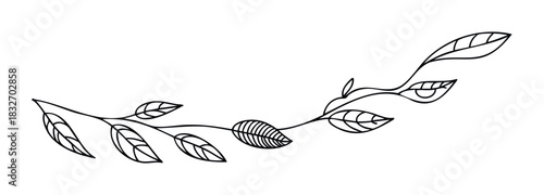Delicate black outline drawing of a botanical branch with leaves flowing gracefully, perfect for decorative accents and organic branding projects