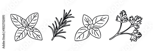 Collection of culinary herbs including basil, rosemary, and parsley, depicted in a simple line drawing style for use in food and beverage marketing, recipe guides, and healthy lifestyle
