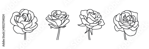 Four distinct black line drawing roses with stems presented side by side, perfect for floral graphics and romantic visuals