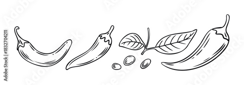Simple Line Drawings of Chili Peppers and Leaves for Culinary Graphics and Ingredient Visuals, Perfect for Food Blogs and Health Publications