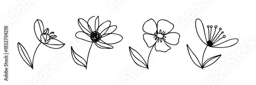 Delicate line drawings of four distinct flowers with leaves offer a simple yet elegant aesthetic for spring and nature themed projects and visual communications.