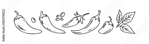Whimsical outline drawing of various chili peppers and leaves, perfect for food branding, recipe cards, and culinary projects.