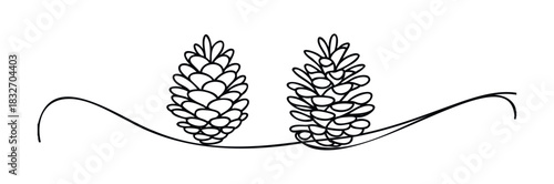 Simple line drawing of two pinecones connected by a flowing line, perfect for seasonal greetings and naturethemed designs