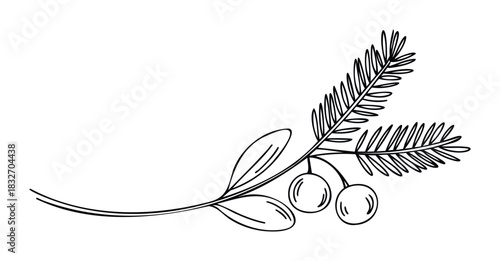 Delicate black outline drawing of a delicate branch with leaves and berries, perfect for nature themed designs, botanical projects, and springtime invitations or greetings.
