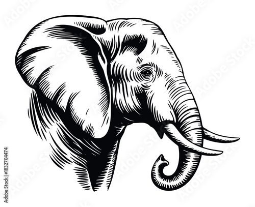 Powerful elephant head portrait in vintage engraving style, perfect for wildlife conservation themes, safari adventures, and majestic animal representation in various media projects.