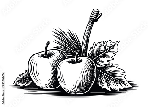 Vintage woodcut style depiction of two apples with leaves and a stalk, perfect for harvest themes and organic food promotions