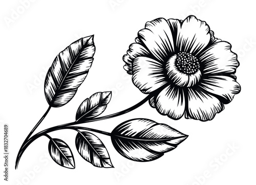 Black and white ink drawing of a blooming flower with leaves on a branch, perfect for botanical studies or graphic design projects.