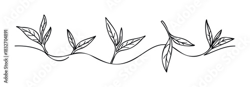 Delicate black ink line drawing of plant stems with multiple leaves gracefully curving along a wavy line, perfect for organic branding and botanical projects