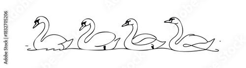 Minimalist line drawing of four elegant swans swimming gracefully in a tranquil body of water, perfect for nature themes and serene graphic applications.