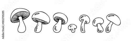 Collection of hand drawn mushroom outlines in varying sizes and styles, perfect for a natural or autumnal theme in graphic projects and decorations