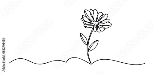 Minimalist line drawing of a single daisy flower with leaves on a flowing ground line, perfect for naturethemed projects and organic branding applications.