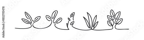 Simple black outline floral border with leaves and stems, perfect for invitations, stationery, or graphic accents.