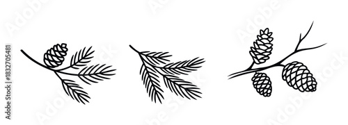 Collection of hand drawn pine branches with pine cones for winter season decoration and seasonal greetings, perfect for holiday projects and nature themes