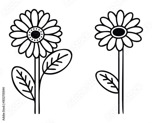Simple outline drawings of two daisies with leaves on stems in black and white, perfect for springtime or floral themes in graphic projects.