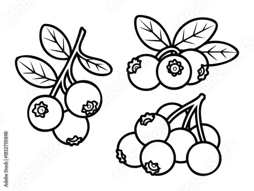 Collection of simplified line drawings of ripe blueberries on branches with leaves, perfect for food, health, and nature themed projects.