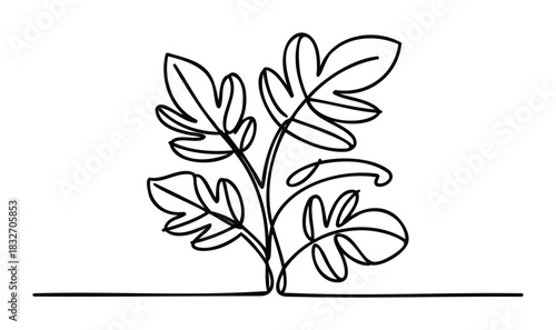 Single line drawing of a plant with five large lobed leaves, ideal for organic themes, nature, and wellness concepts.