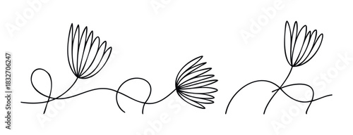 Abstract floral sketch featuring dandelion seed heads and flowing vines, perfect for minimalist branding and botanicalthemed visual projects.