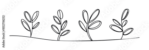 Minimalist line drawings of four plants with delicate leaves emerging from a simple ground line, perfect for naturethemed projects and botanical graphics.