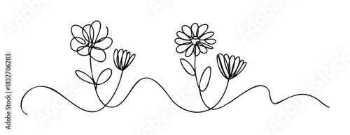 Minimalist single line drawing of blooming daisies and closed buds connected by a flowing wavy line, perfect for nature, garden, or spring themes in design projects.
