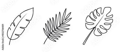 Collection of three stylized tropical leaf outlines in black and white, perfect for decorative use in graphic projects and nature inspired themes.