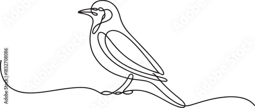 Continuous line drawing of a bird perched gracefully, created with continuous flowing lines. Minimalist simplicity and elegance. one line Icon drawing