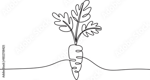 Continuous one line drawing of carrot vegetable. One line drawing illustration of growing carrot plant. Vegetable growing concept continuous line art. one line Icon drawing