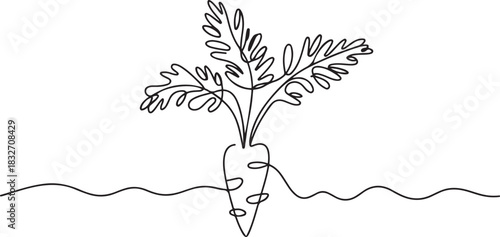Continuous one line drawing of carrot vegetable. One line drawing illustration of growing carrot plant. Vegetable growing concept continuous line art. one line Icon drawing