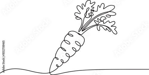 Continuous one line drawing of carrot vegetable. One line drawing illustration of growing carrot plant. Vegetable growing concept continuous line art. one line Icon drawing