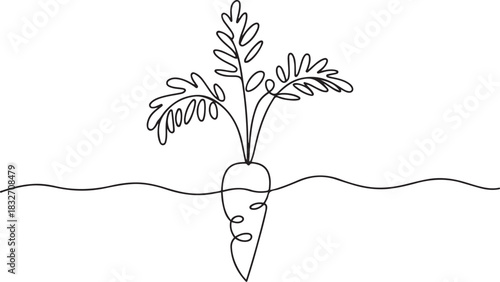 Continuous one line drawing of carrot vegetable. One line drawing illustration of growing carrot plant. Vegetable growing concept continuous line art. one line Icon drawing
